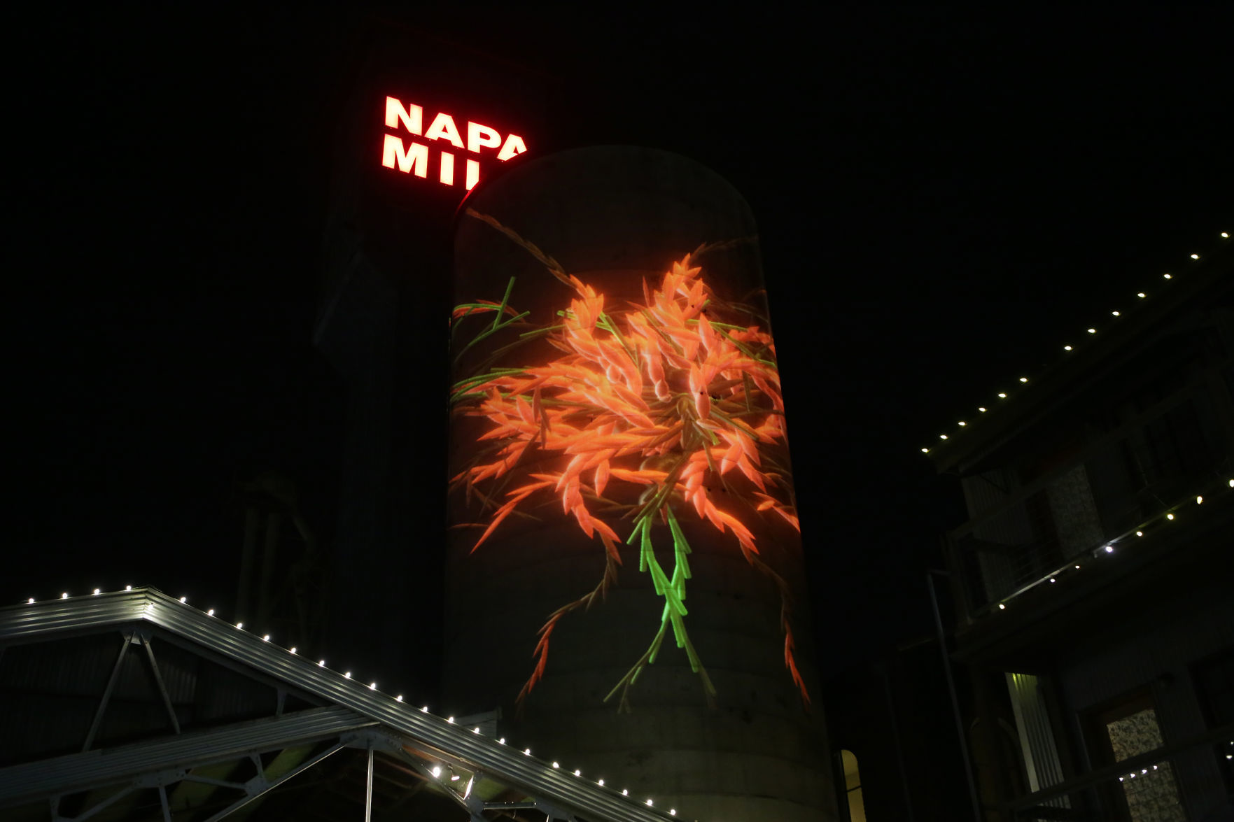 Napa Lighted Art Festival 2019